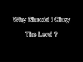 Why Should I Obey The Lord ?