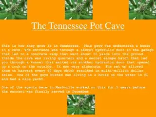 The Tennessee Pot Cave