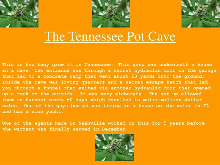 the tennessee pot cave