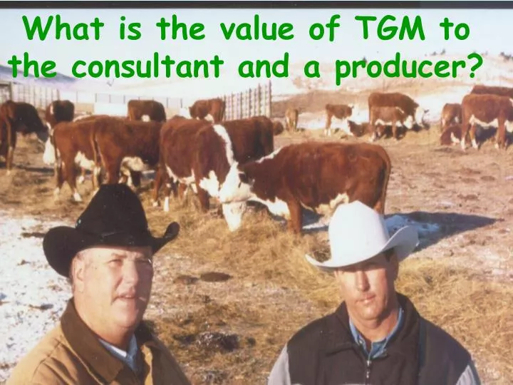 what is the value of tgm to the consultant and a producer