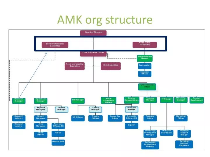 amk org structure