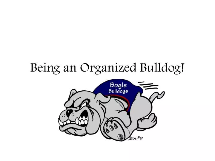 being an organized bulldog