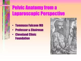 Pelvic Anatomy from a Laparoscopic Perspective