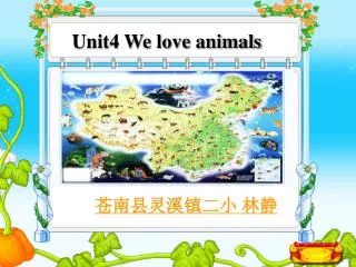 Unit4 We love animals