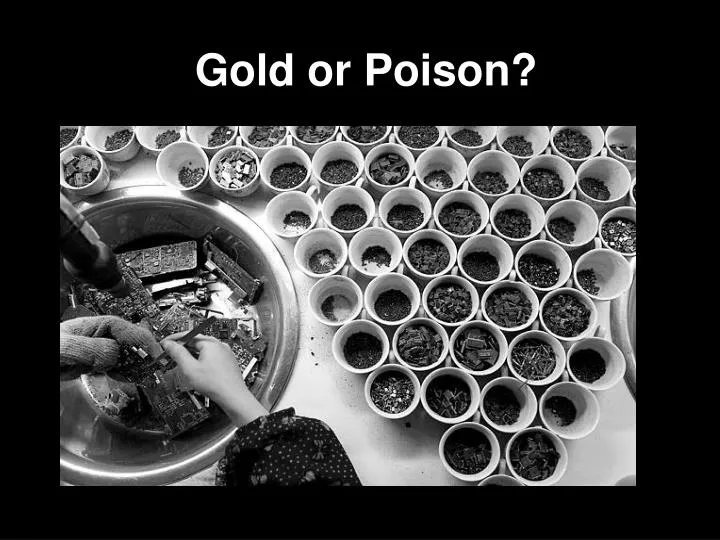 gold or poison