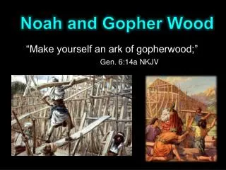 Noah and Gopher Wood