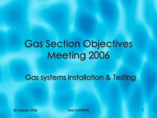 Gas Section Objectives Meeting 2006