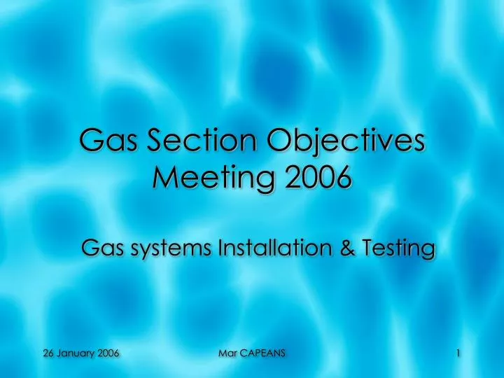gas section objectives meeting 2006