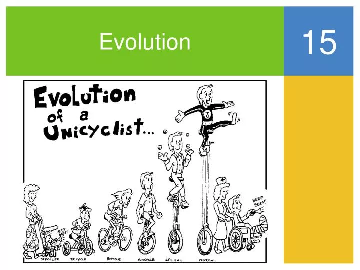 evolution