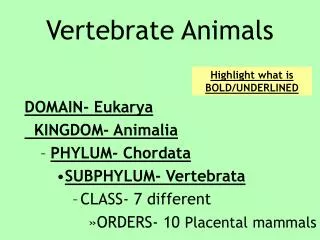 Vertebrate Animals