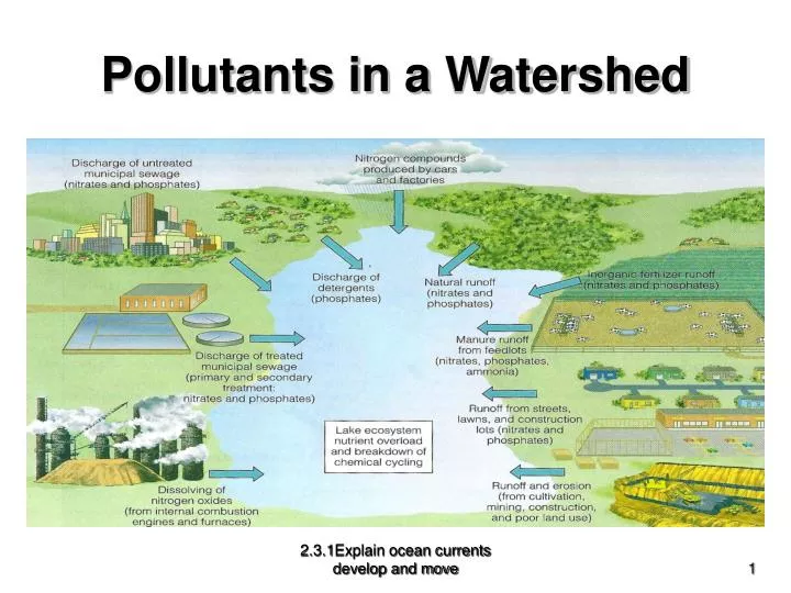 pollutants in a watershed