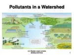 Pollutants in a Watershed - slide 1
