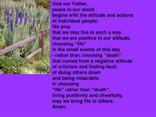 God our Father, peace in our world begins with the attitude and actions of individual people.