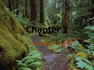 Chapter 1