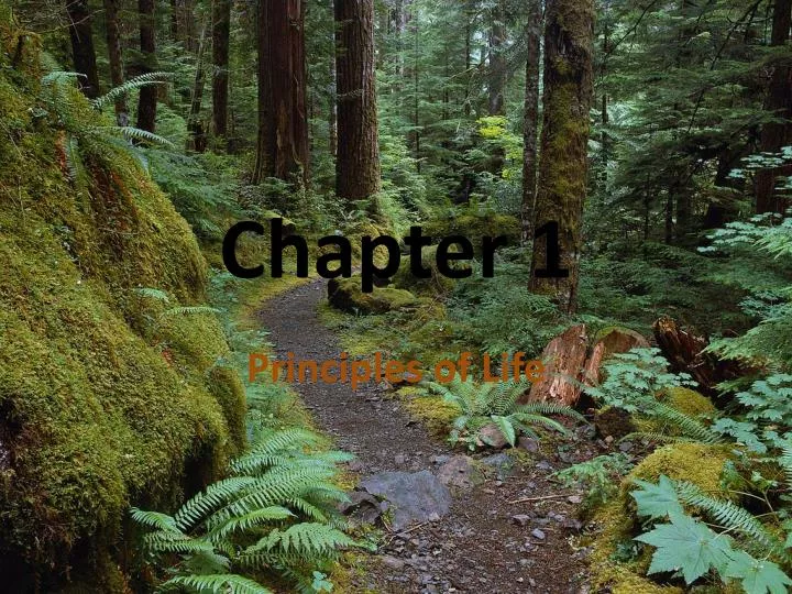 chapter 1