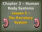 PPT - Chapter 3 Human Development PowerPoint Presentation, free ...