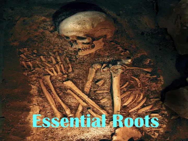 essential roots