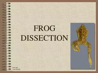 FROG DISSECTION