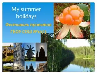 my summer holidays