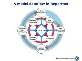 A model dataflow in Reportnet