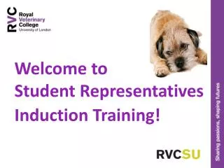 Welcome to Student Representatives Induction Training!