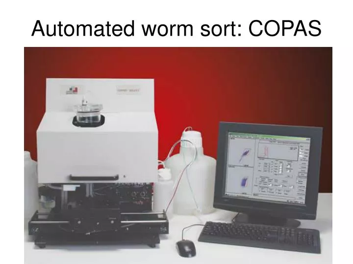 automated worm sort copas