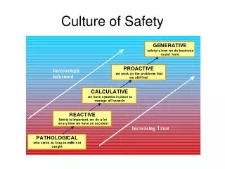 culture of safety