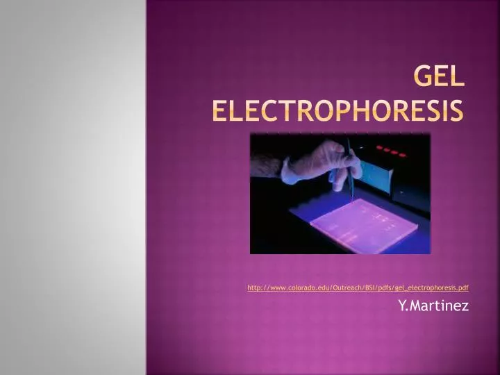 gel electrophoresis