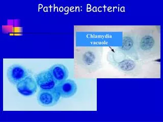 Pathogen: Bacteria