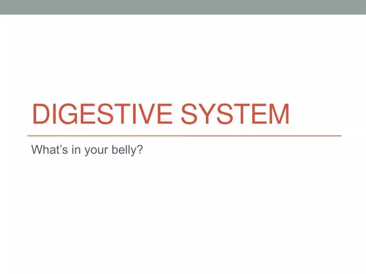 digestive system