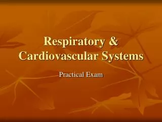 Respiratory &amp; Cardiovascular Systems