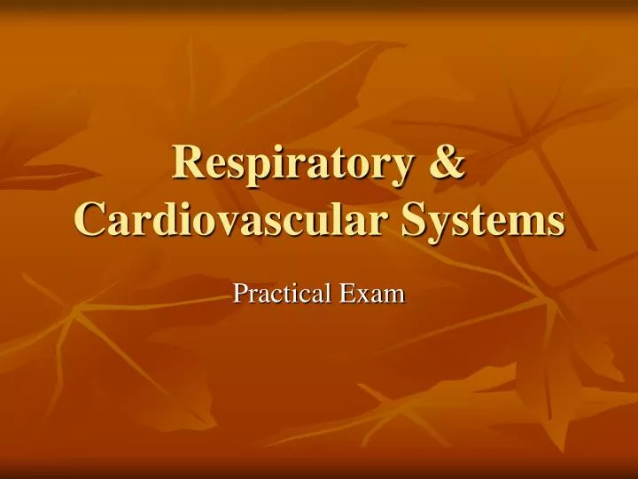respiratory cardiovascular systems