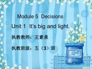Module 5 Decisions