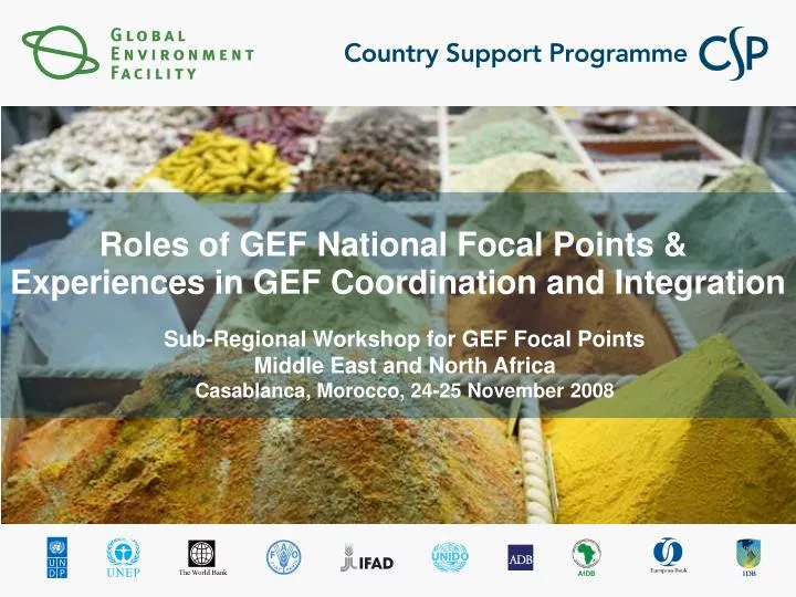 roles of gef national focal points experiences in gef coordination and integration