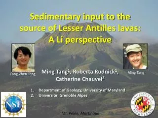 Sedimentary input to the source of Lesser Antilles lavas: A Li perspective