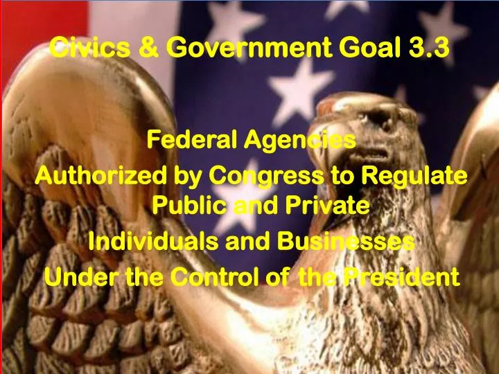 civics government goal 3 3
