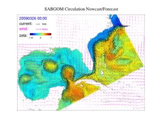SABGOM Circulation Nowcast/Forecast