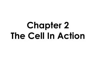 Chapter 2 The Cell In Action