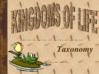 taxonomy