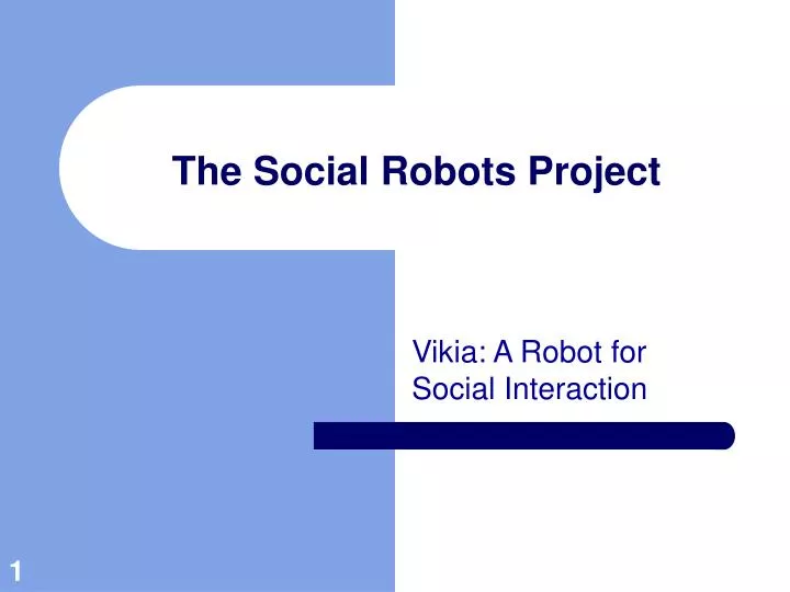 the social robots project