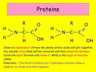 Proteins