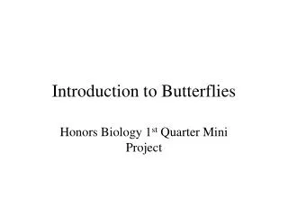 Introduction to Butterflies