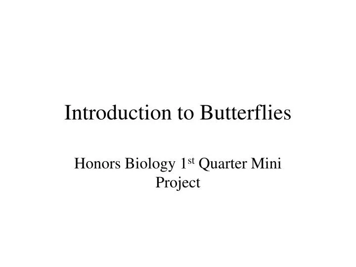 introduction to butterflies