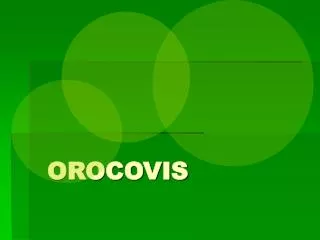 OROCOVIS