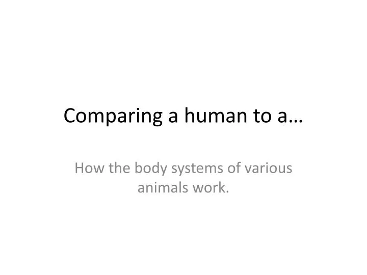 comparing a human to a
