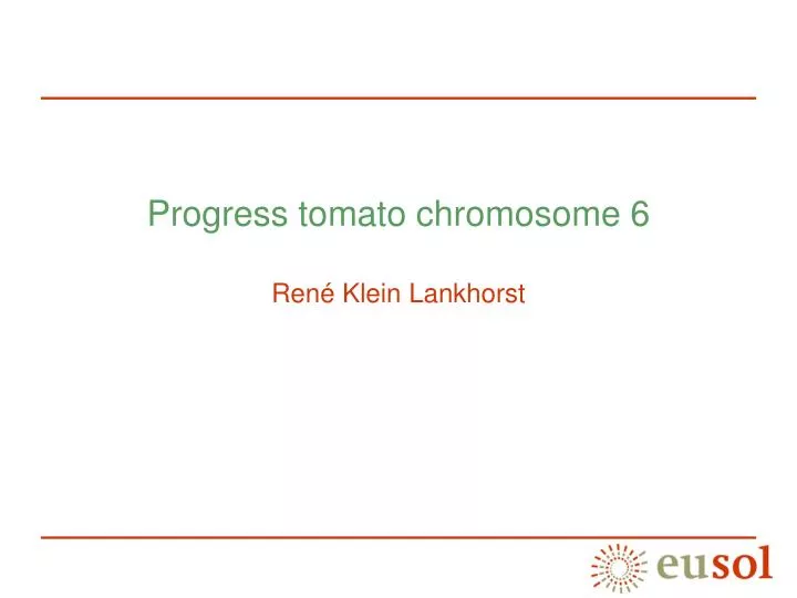 progress tomato chromosome 6 ren klein lankhorst