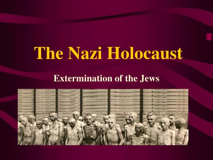 the nazi holocaust