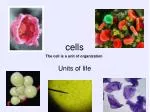 cells - slide 1