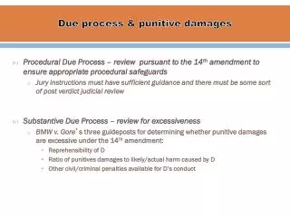 Due p rocess &amp; p unitive damages