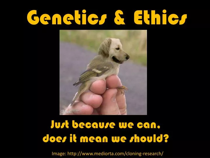 genetics ethics